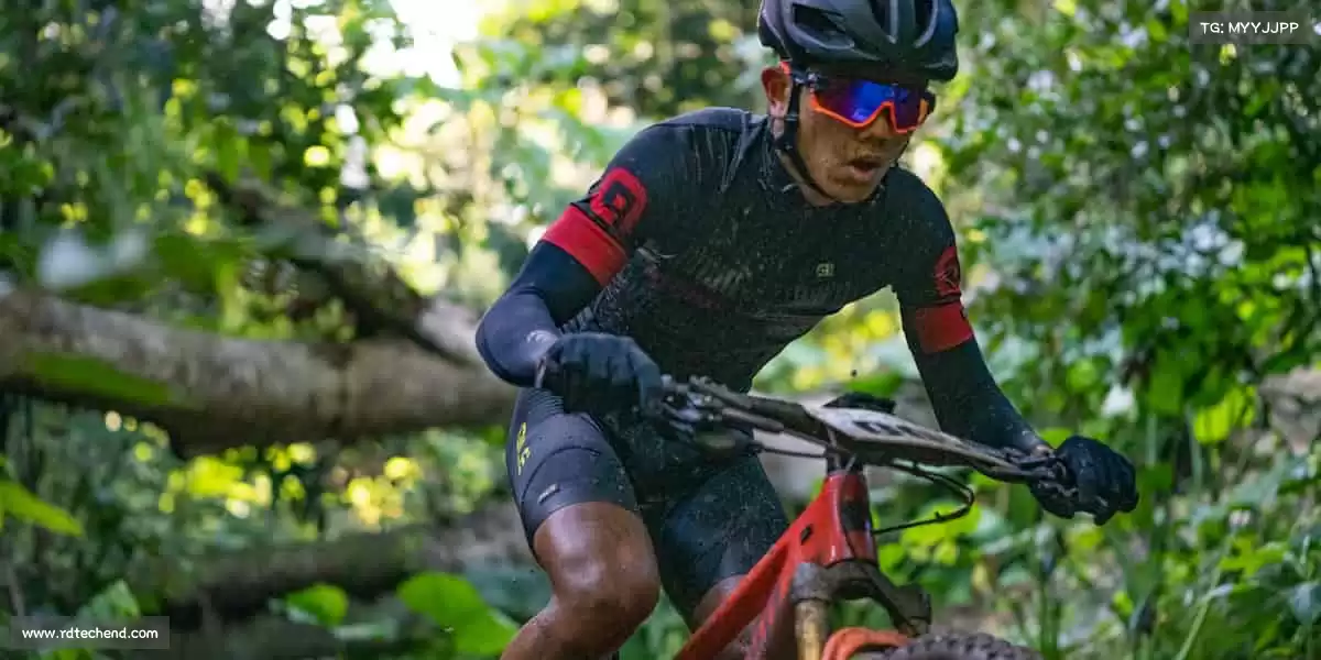 为什么选择我们